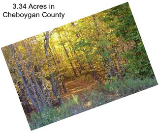 3.34 Acres in Cheboygan County