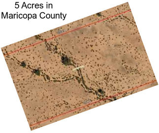 5 Acres in Maricopa County