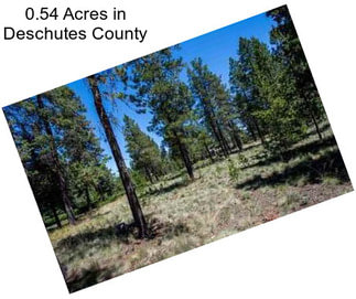 0.54 Acres in Deschutes County