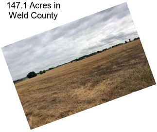 147.1 Acres in Weld County