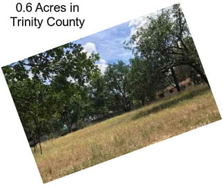 0.6 Acres in Trinity County