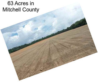 63 Acres in Mitchell County