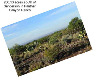 206.13 acres south of Sanderson in Panther Canyon Ranch