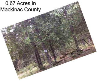 0.67 Acres in Mackinac County