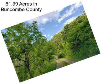 61.39 Acres in Buncombe County