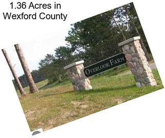 1.36 Acres in Wexford County