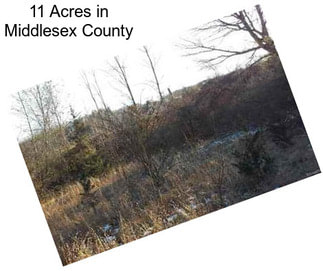 11 Acres in Middlesex County