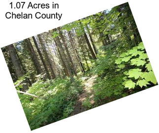 1.07 Acres in Chelan County