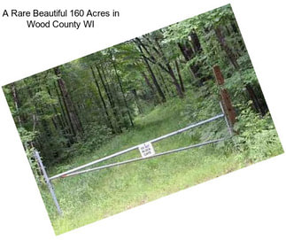 A Rare Beautiful 160 Acres in Wood County WI