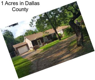 1 Acres in Dallas County