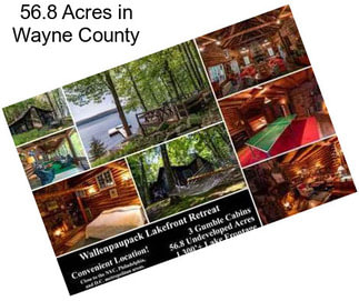 56.8 Acres in Wayne County