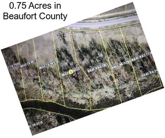 0.75 Acres in Beaufort County