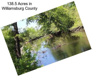 138.5 Acres in Williamsburg County