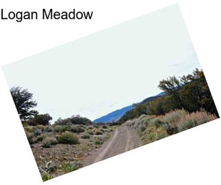 Logan Meadow