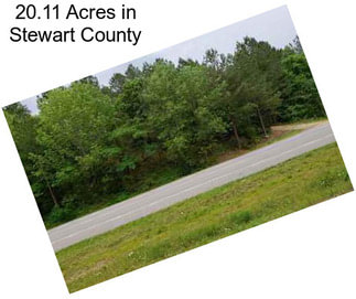 20.11 Acres in Stewart County