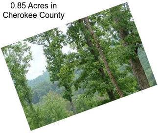 0.85 Acres in Cherokee County