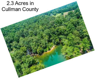 2.3 Acres in Cullman County