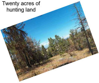 Twenty acres of hunting land