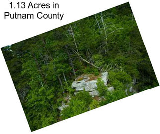 1.13 Acres in Putnam County