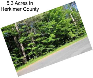 5.3 Acres in Herkimer County