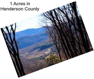 1 Acres in Henderson County