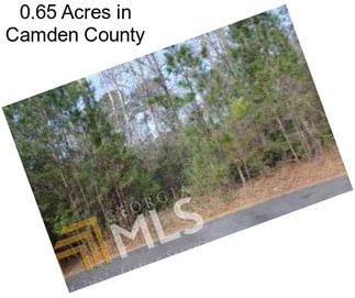 0.65 Acres in Camden County