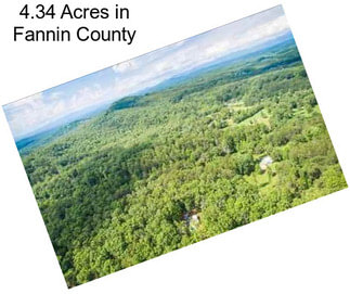 4.34 Acres in Fannin County