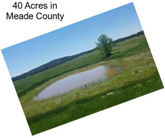 40 Acres in Meade County
