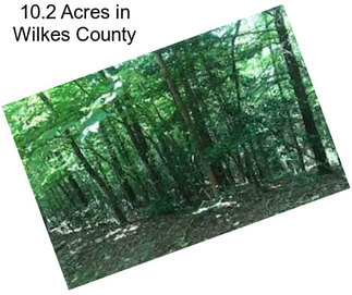 10.2 Acres in Wilkes County