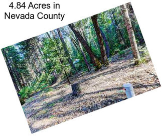 4.84 Acres in Nevada County