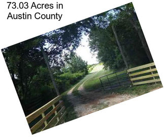 73.03 Acres in Austin County
