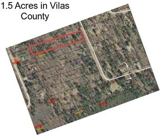 1.5 Acres in Vilas County