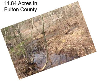 11.84 Acres in Fulton County