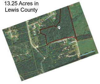 13.25 Acres in Lewis County