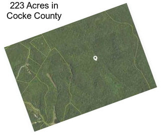 223 Acres in Cocke County