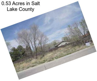 0.53 Acres in Salt Lake County