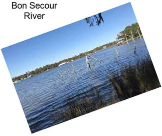 Bon Secour River