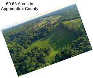 60.63 Acres in Appomattox County