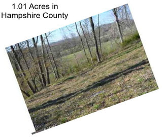 1.01 Acres in Hampshire County