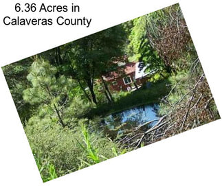 6.36 Acres in Calaveras County