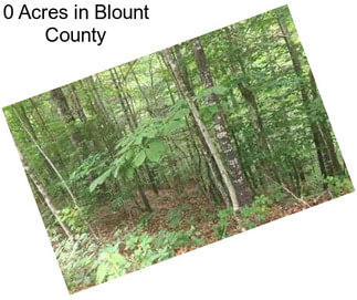 0 Acres in Blount County