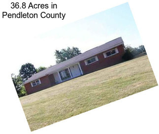 36.8 Acres in Pendleton County