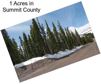 1 Acres in Summit County