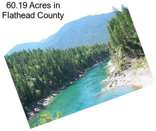 60.19 Acres in Flathead County