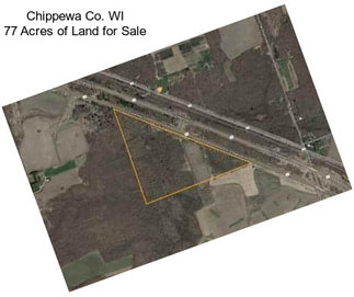 Chippewa Co. WI 77 Acres of Land for Sale