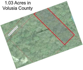 1.03 Acres in Volusia County