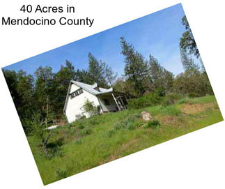 40 Acres in Mendocino County