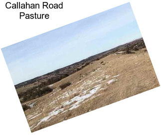 Callahan Road Pasture