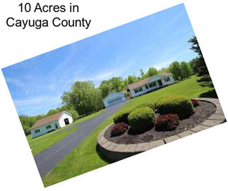 10 Acres in Cayuga County