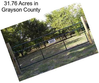 31.76 Acres in Grayson County